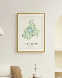 Tarpon Springs Golf Course map print, framed in a room