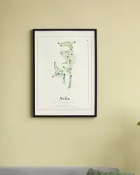 Avila Golf & Country Club map print, in a second room
