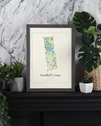 Sandhill Crane Golf Club map print, in a second room