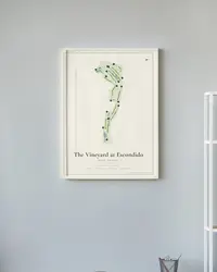 The Vineyard at Escondido Golf Course map print, in a second room